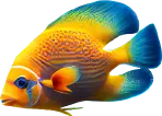 fish